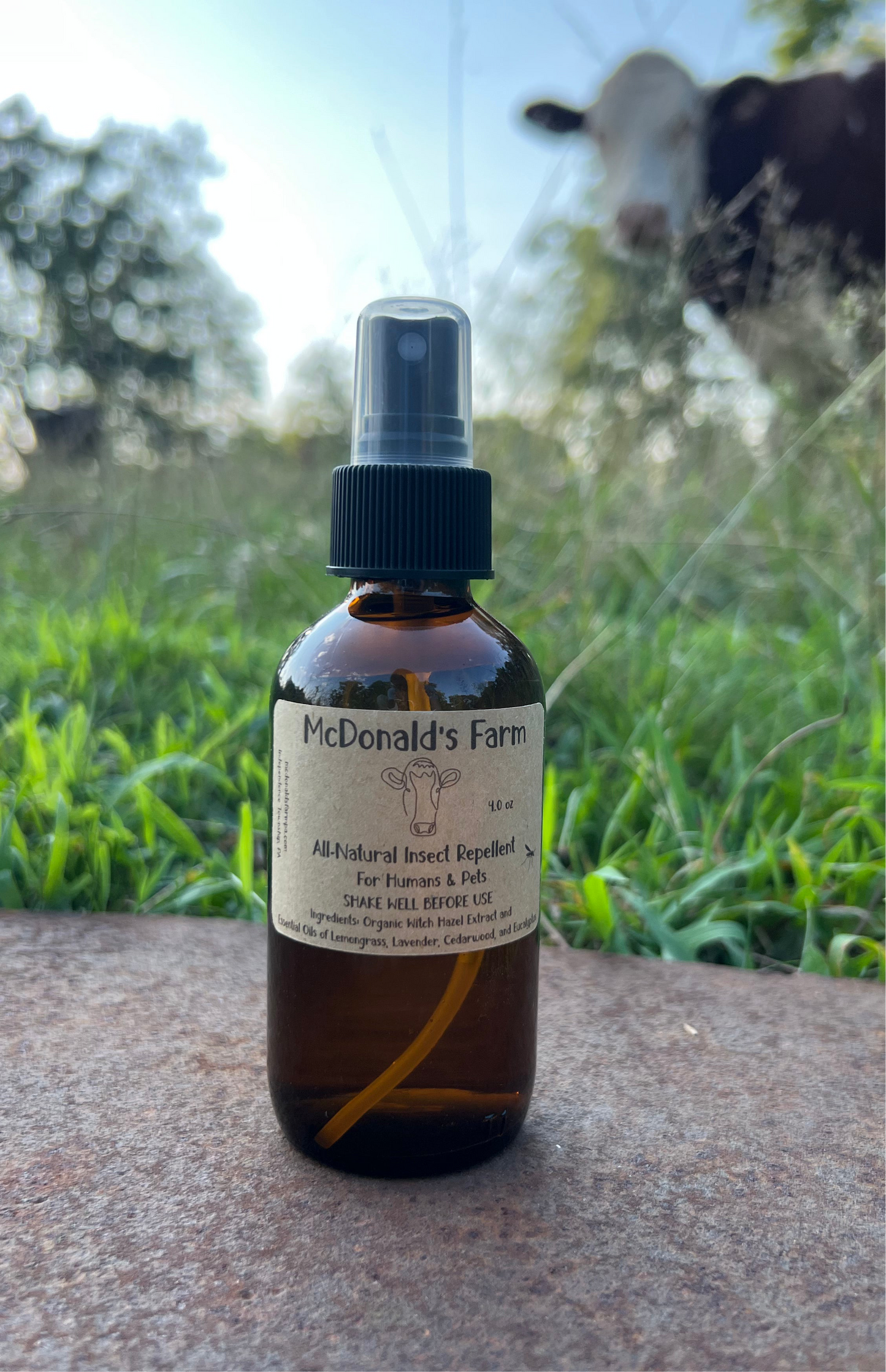 All-Natural Insect Repellant