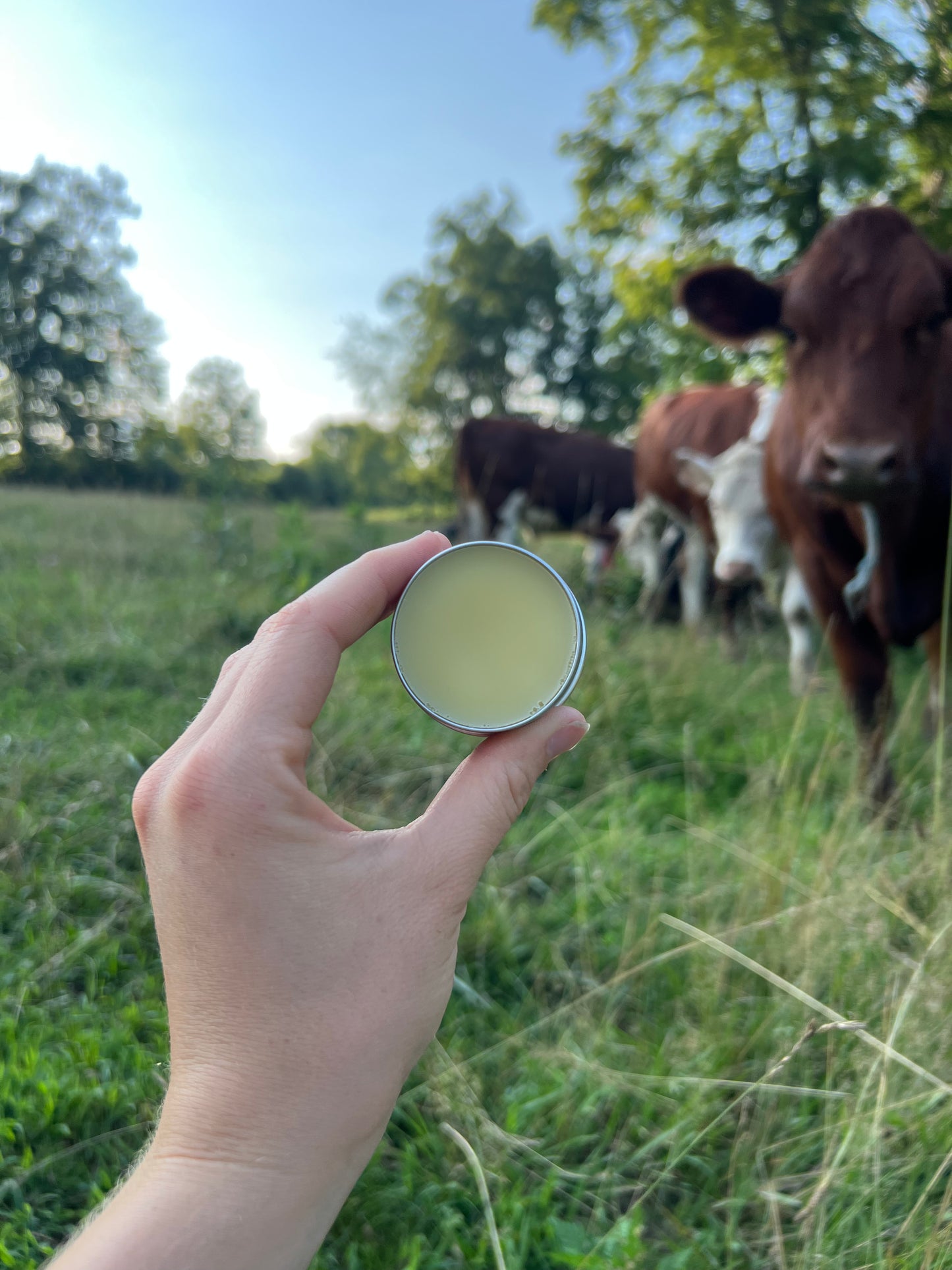 Dog Paw and Nose Balm
