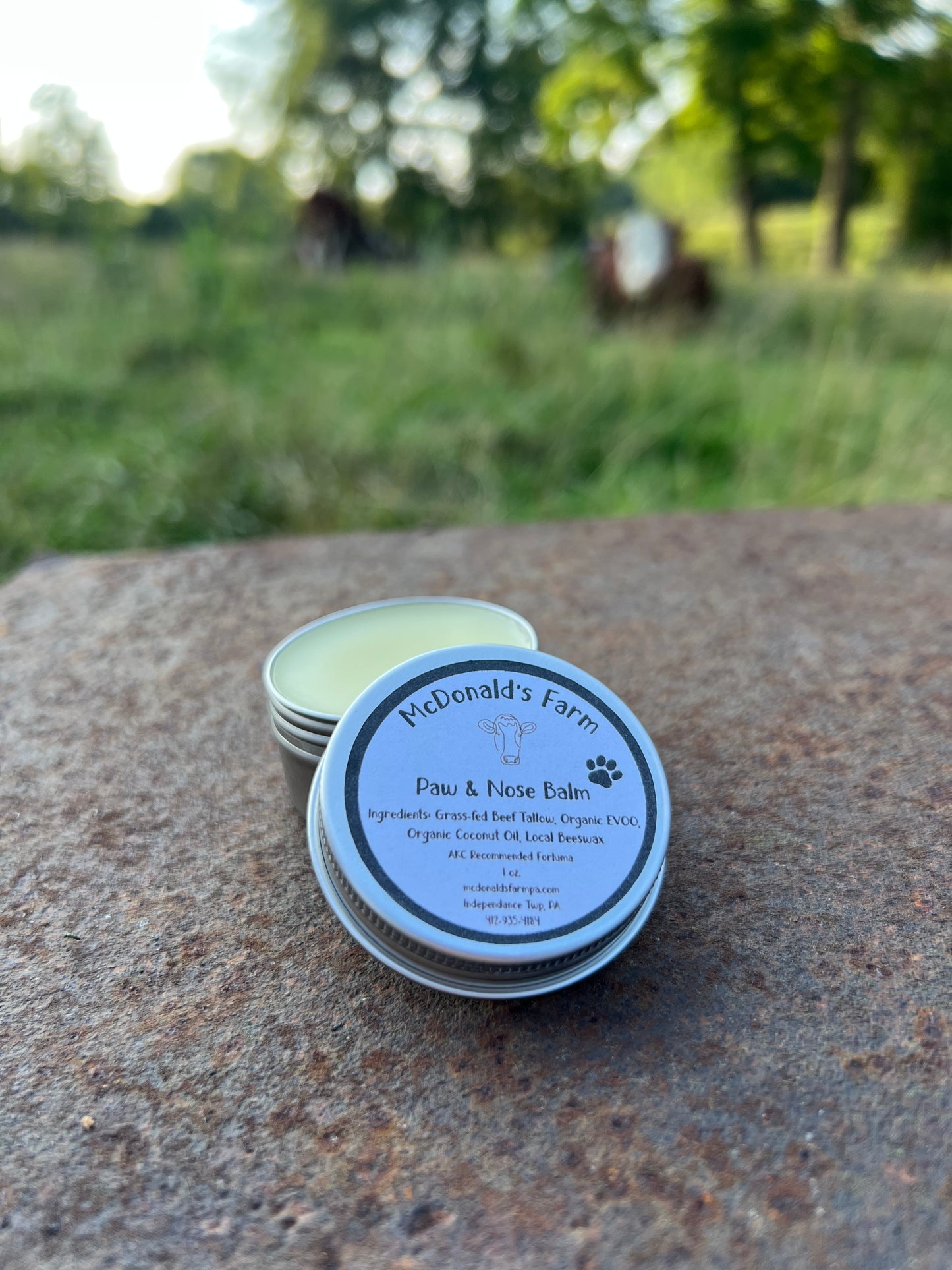 Dog Paw and Nose Balm