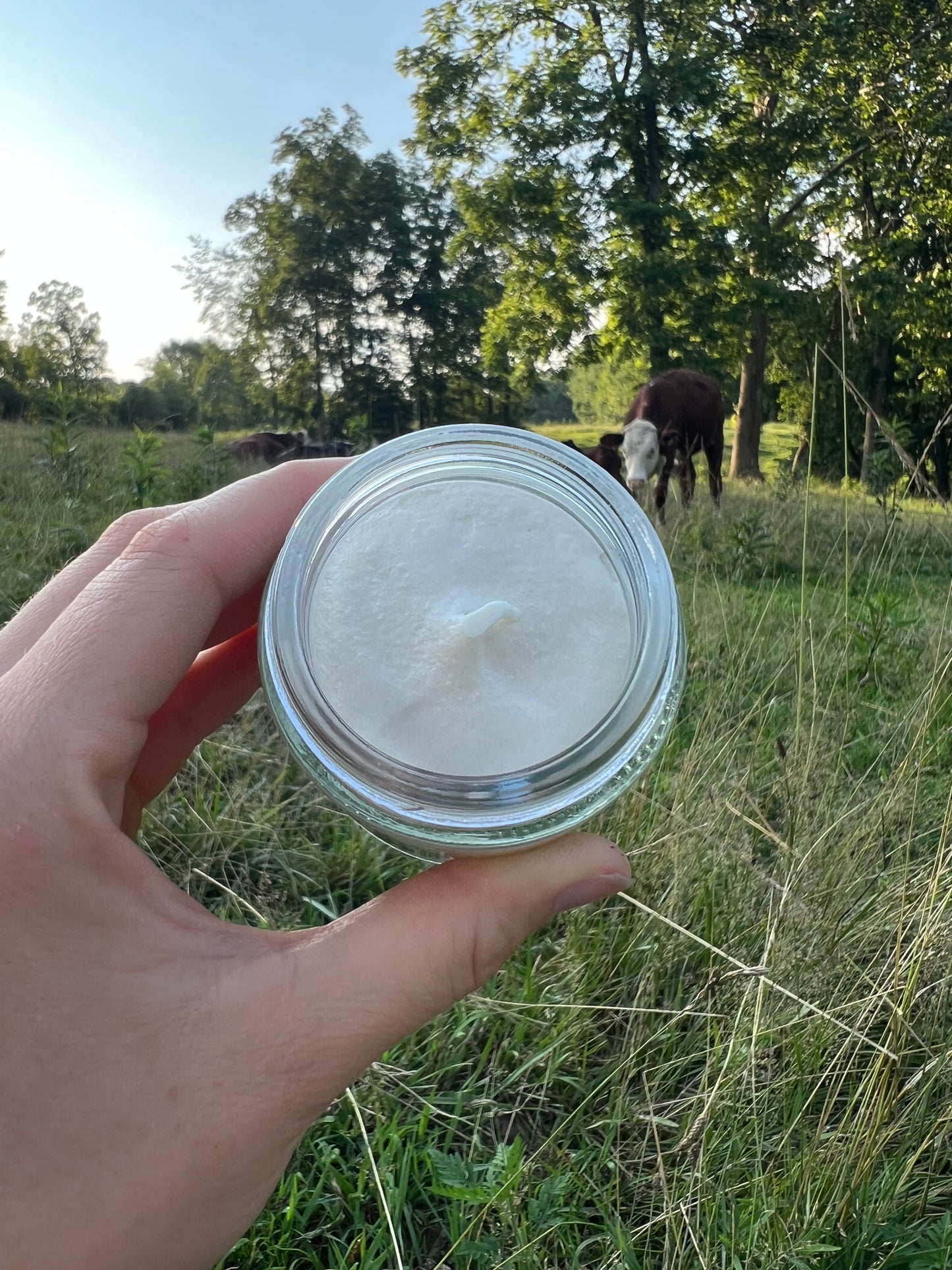 Healing Honey Whipped Tallow Face & Body Butter
