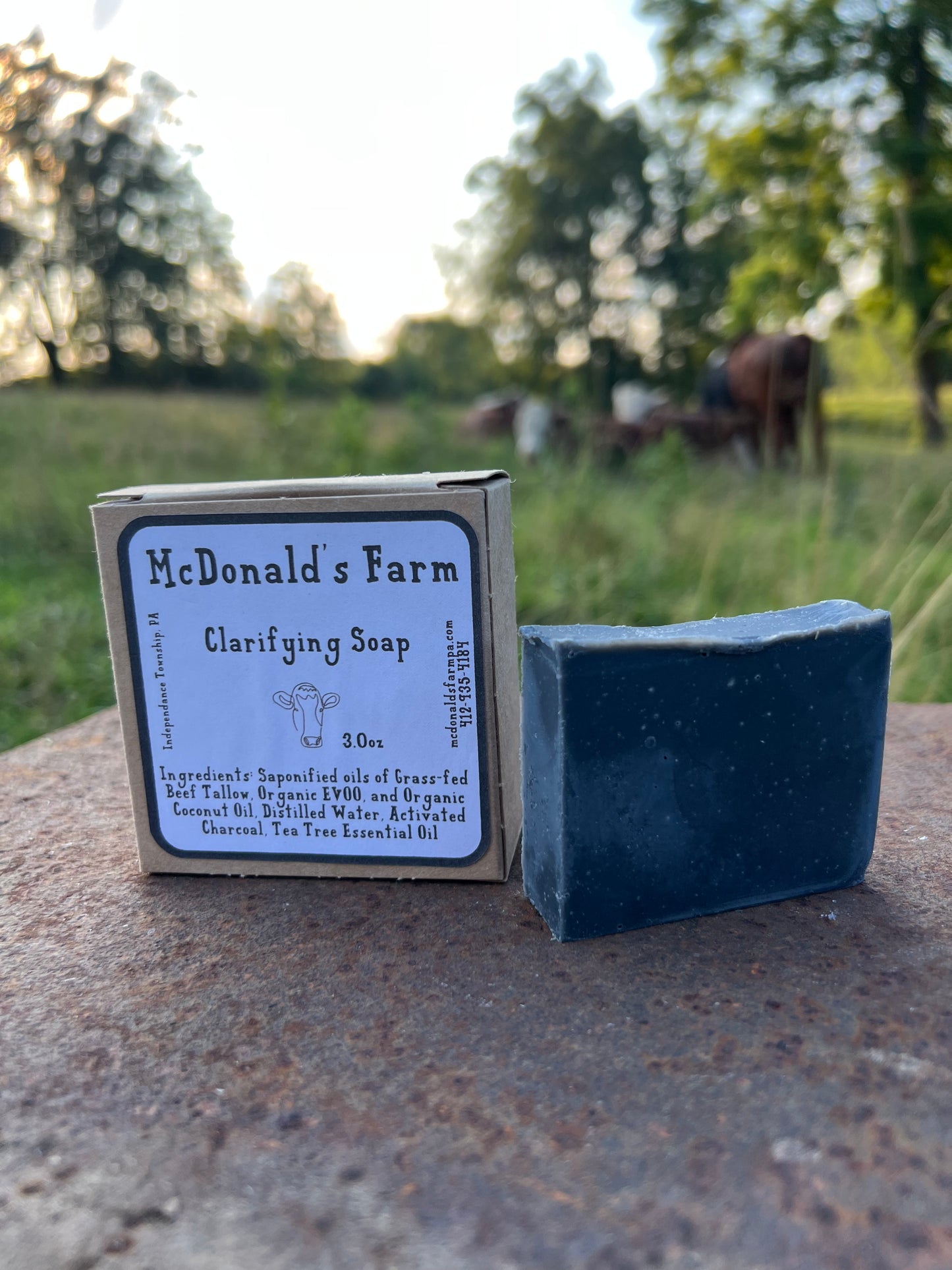 Clarifying Activated Charcoal Soap
