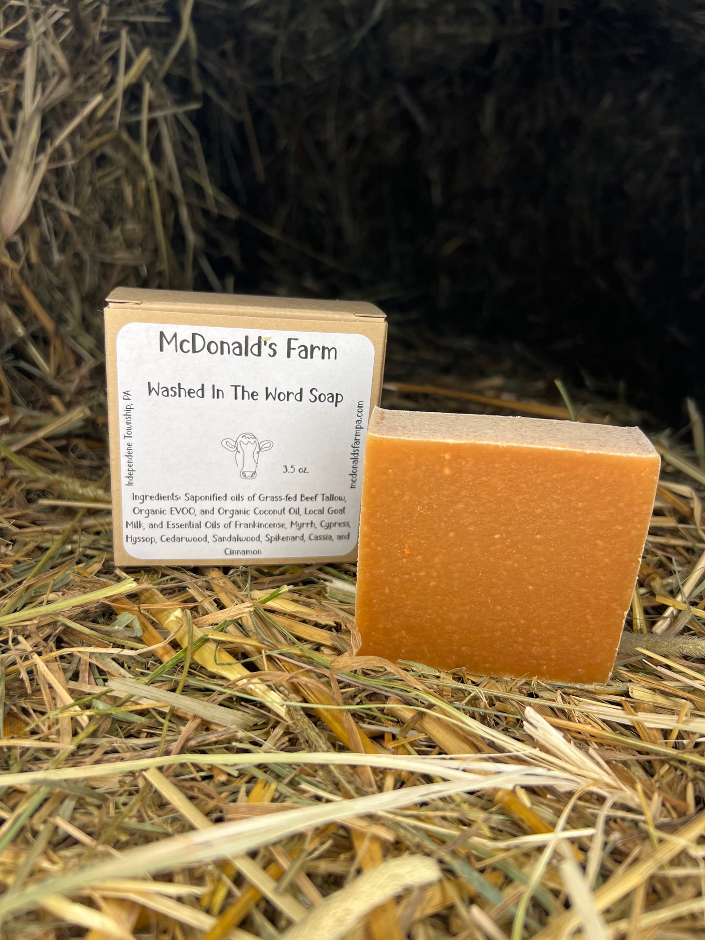 Washed in The Word Soap