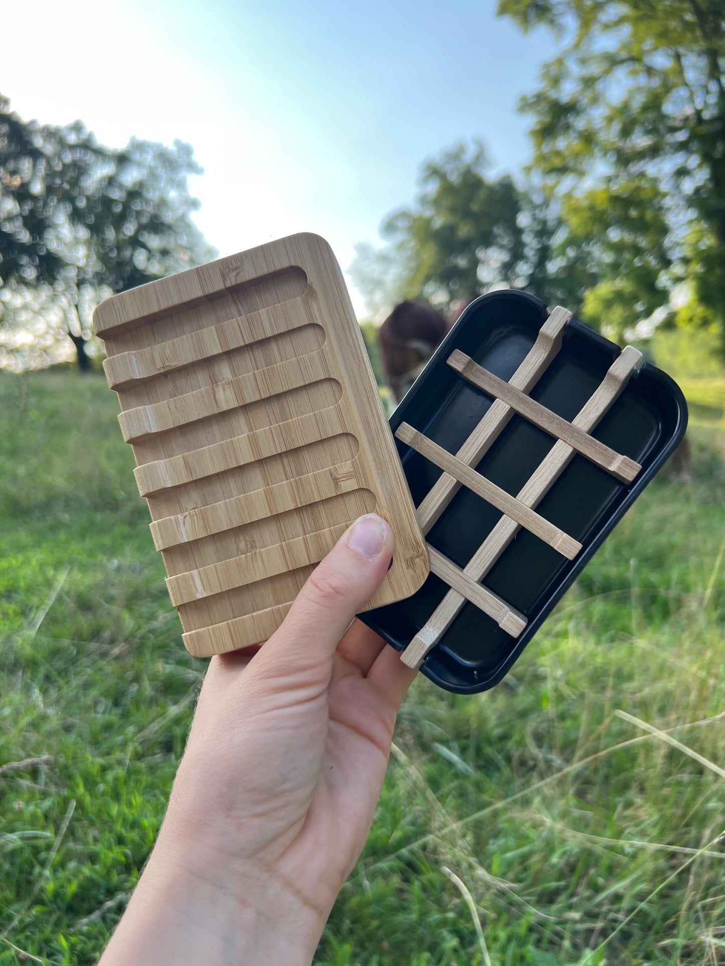 Soap Dish