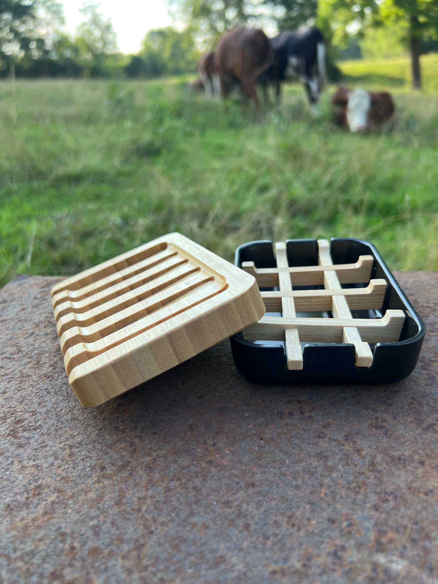Soap Dish