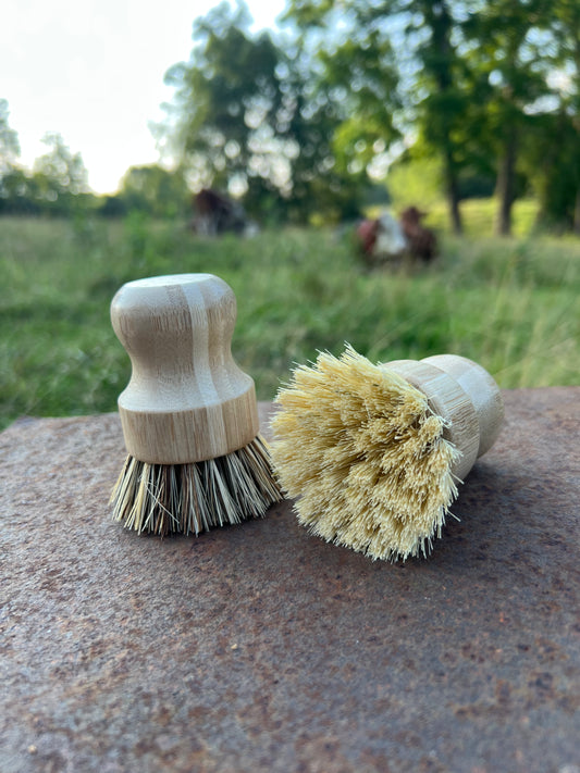 Dish Brush