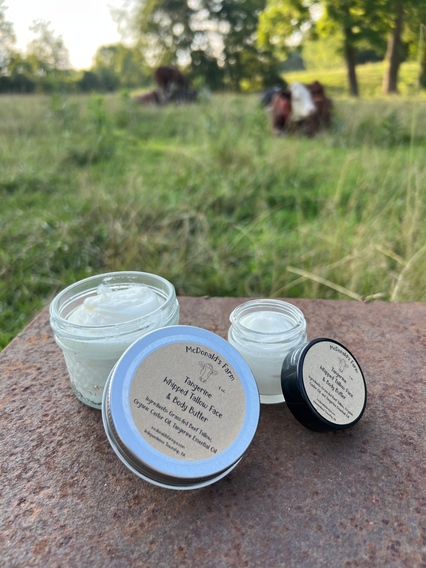 Tangerine Whipped Tallow Face & Body Butter