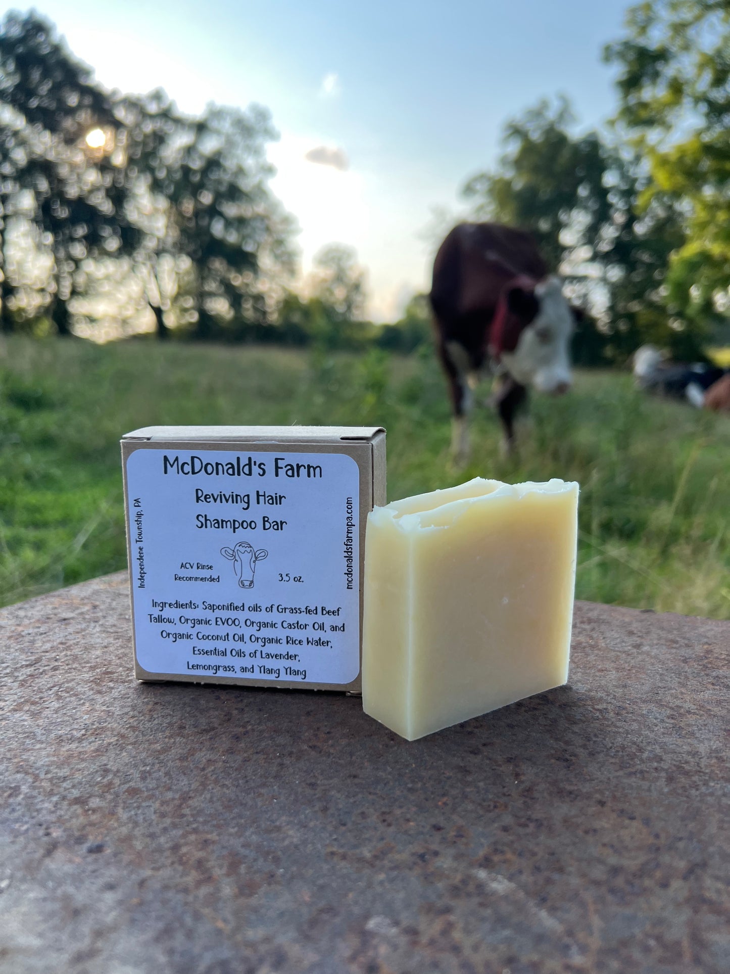 Reviving Hair Shampoo Bar