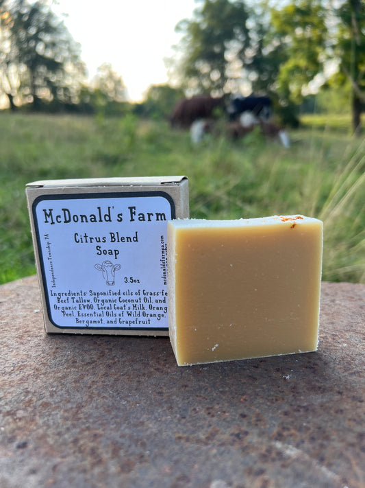 Citrus Blend Soap