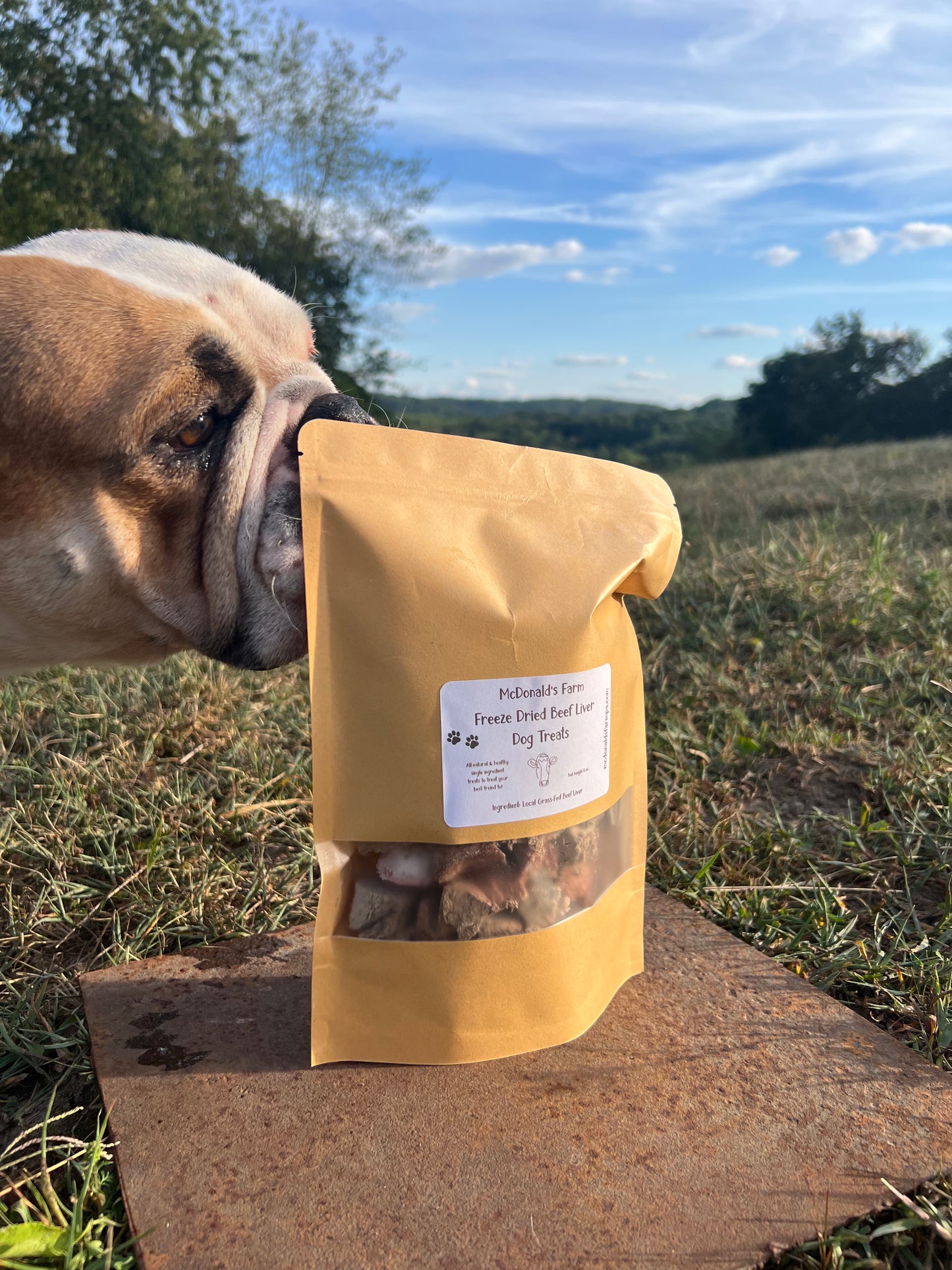 Freeze Dried Beef Liver Dog Treats
