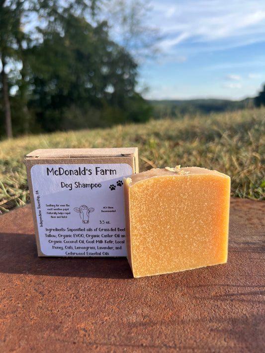 Dog Shampoo Bar