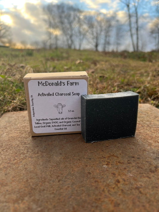 Clarifying Activated Charcoal Soap