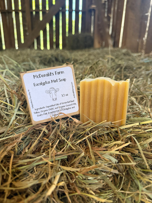 Eucalyptus Mint Soap